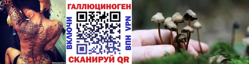 Галлюциногенные грибы прущие грибы  Городовиковск 